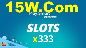 x333.com