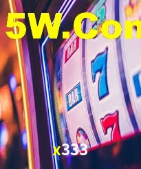 x333