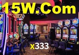 x333