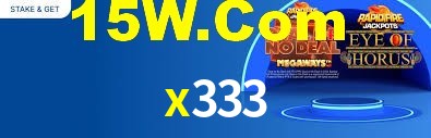 x333